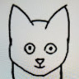 Meet your Posher, Getsiked